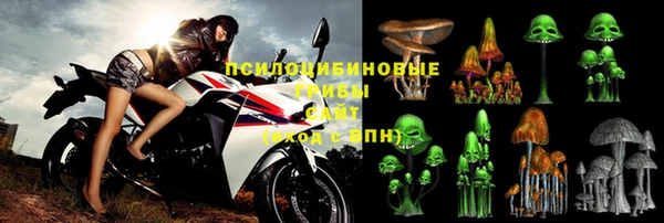 прущие грибы Лиски