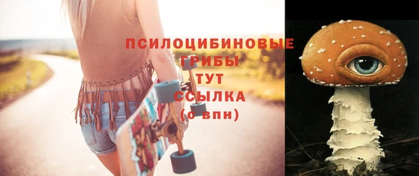 первитин Абинск