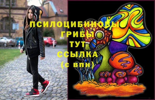 бошки Абаза